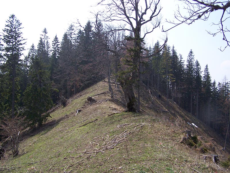 Bergrücken
